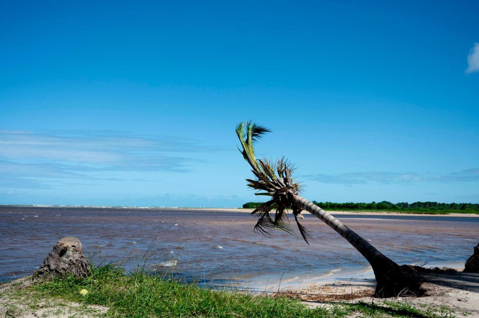 Bangalo Verde Recanto Uana - 280M Praia Tatuamunha Maceio  Exterior photo